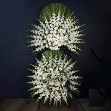 تاج 1002